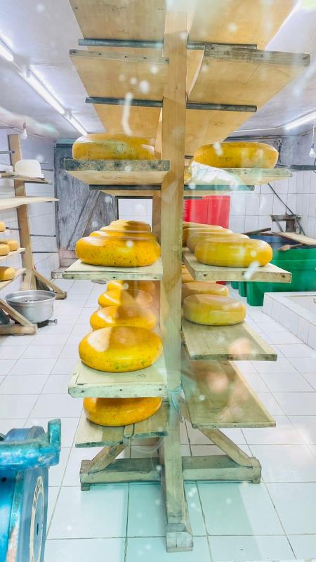 Himalayan Cheese Factory On 20th August 2022
